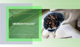 Neuropathology